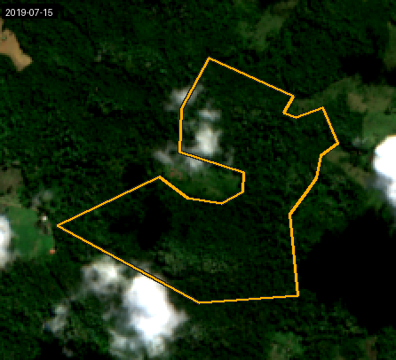 Historical true-colour satellite example for 2019