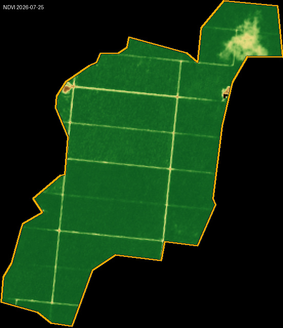 NDVI heatmap for a Brazilian oil-palm plot