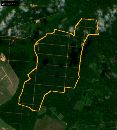 Historical true-colour satellite example for 2019