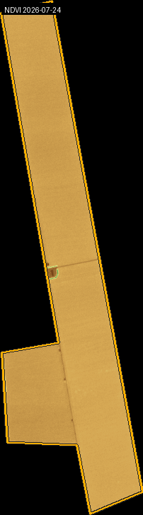 NDVI heatmap for a Brazilian soy plot