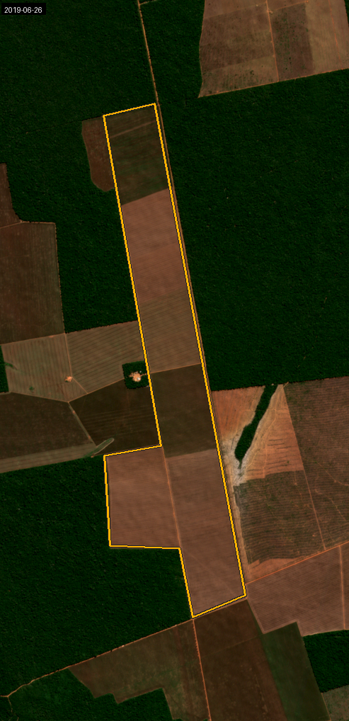 Historical true-colour satellite example for 2019